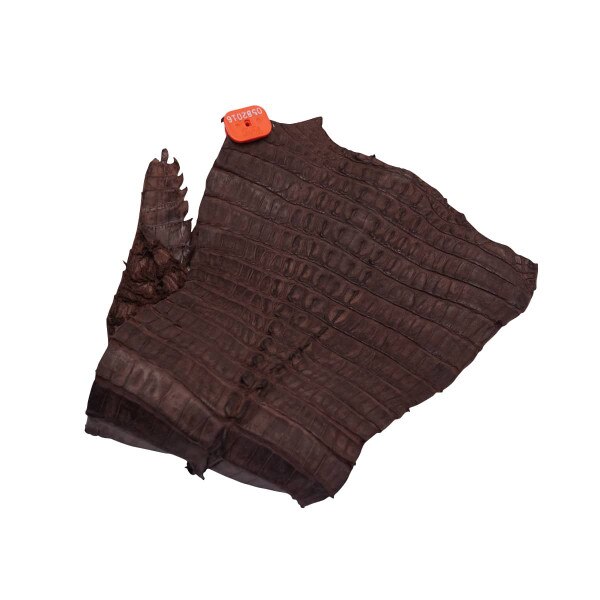 NCROC.Vintage Chocolate.Hornback.01.jpg Nile Crocodile Tails Image